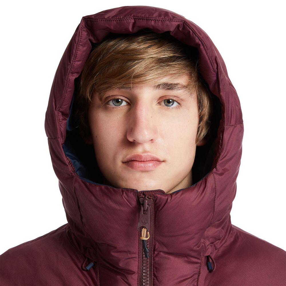 Geaca Timberland Barbati Visinii - Neo Summit Hooded Iarna - Romania - GOURIP974